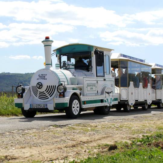 Petit train des vignes Tain l'Hermitage