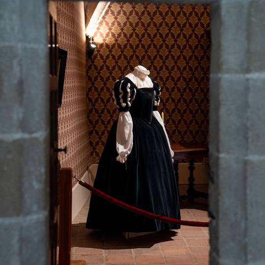 Chambre d'Hélèhne de Tournon - Chateau de Tournon sur Rhône