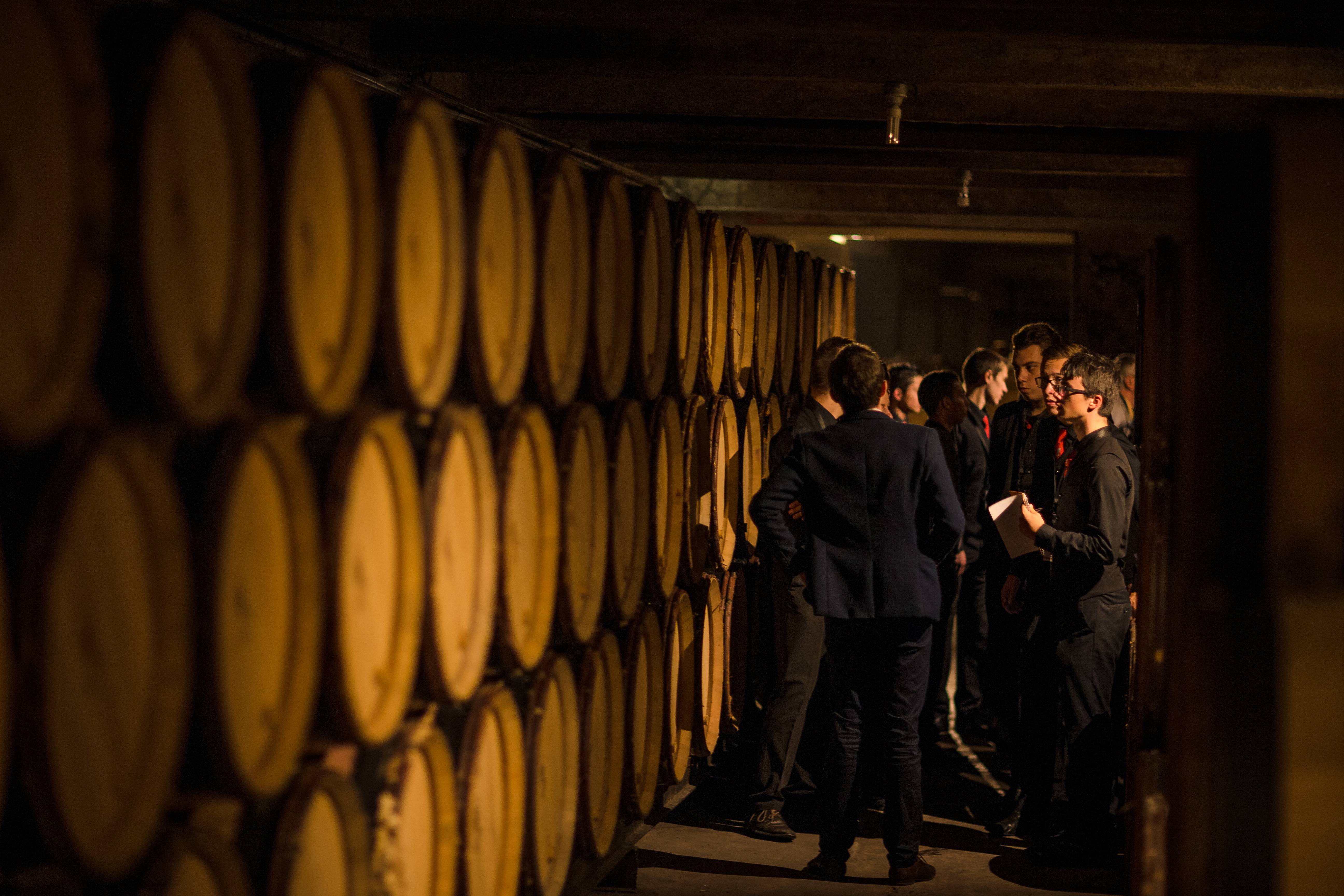 Guided tour of the Cave de Tain