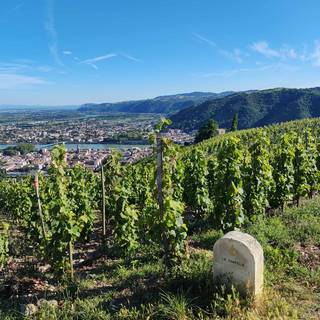 Colline de l'Hermitage