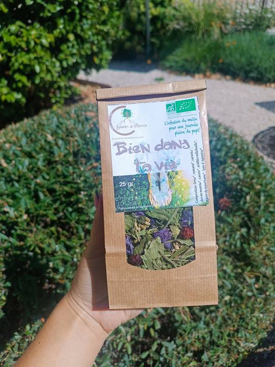 Infusion "Bien dans ta vie"