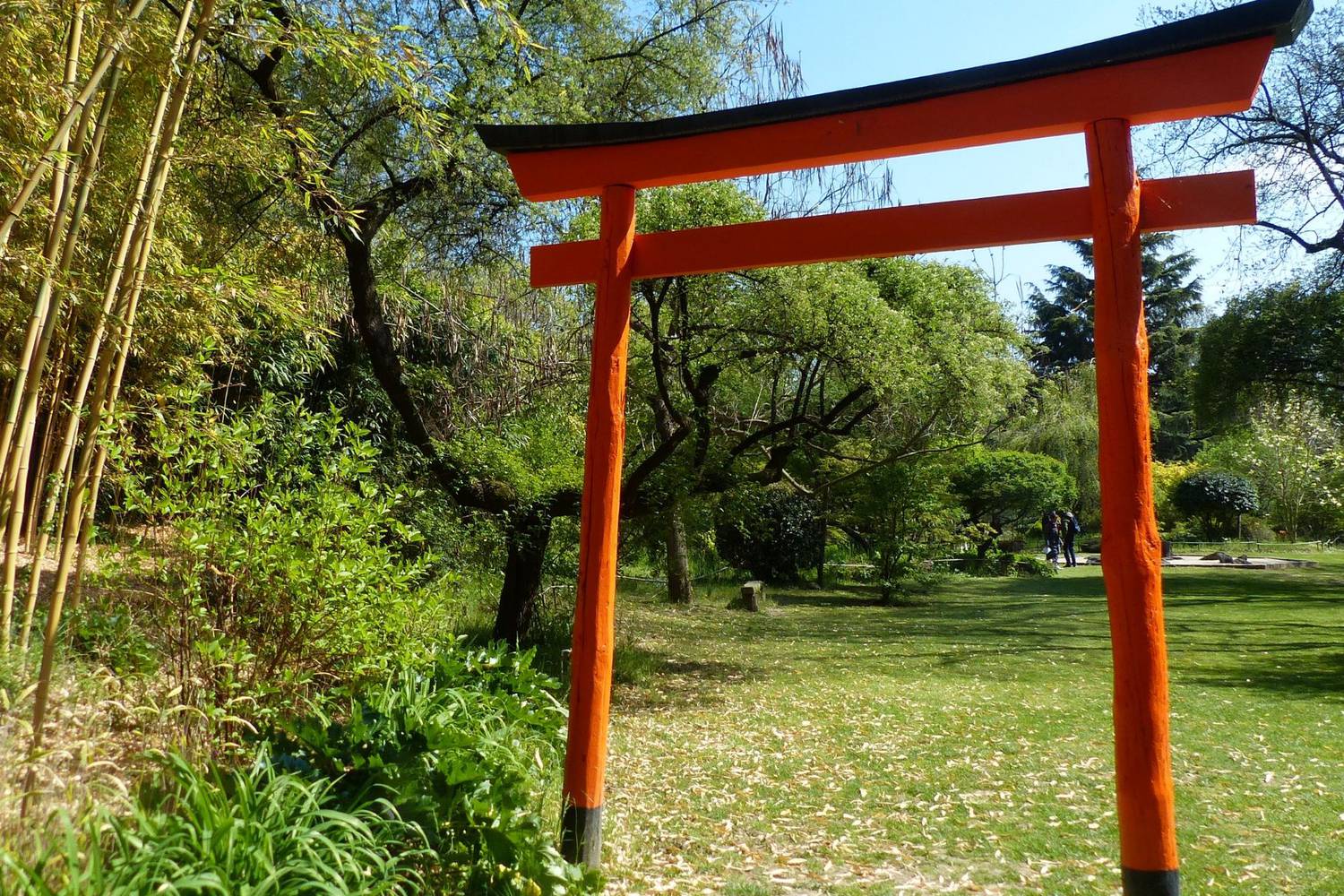 Jardin Zen