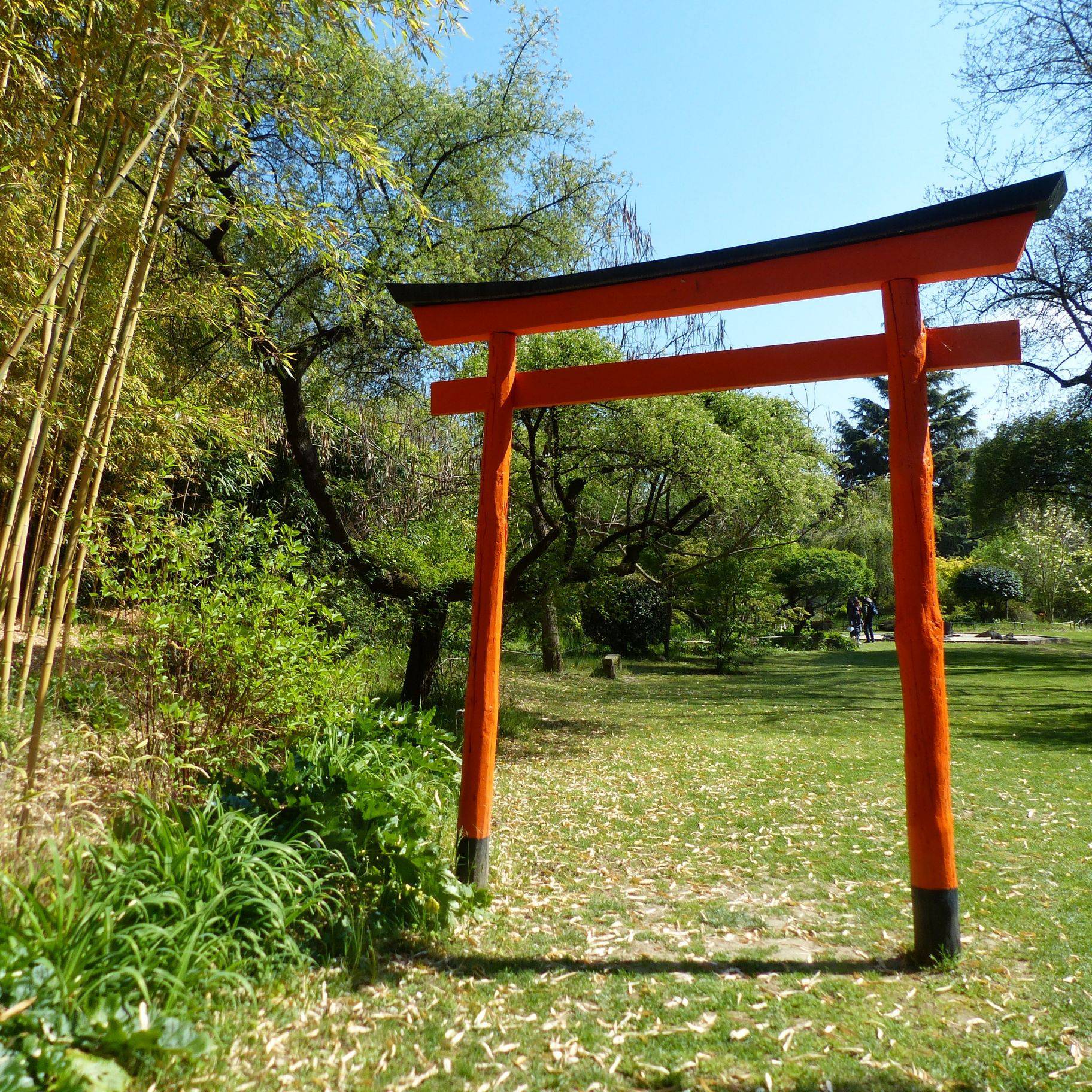 Jardin Zen d'Erik Borja