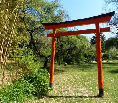 © Raphael K Jardin Zen