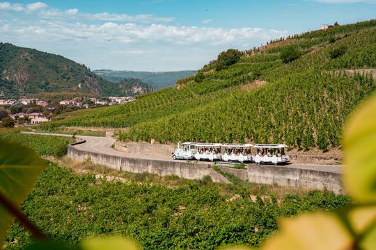 Petit train des vignes Tain l'Hermitage