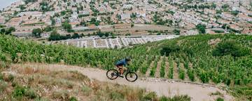velo dans les vignes