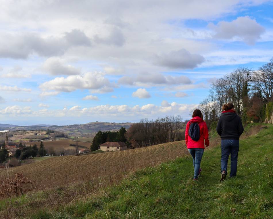 Selectie van wandelingen voor de maand Februari