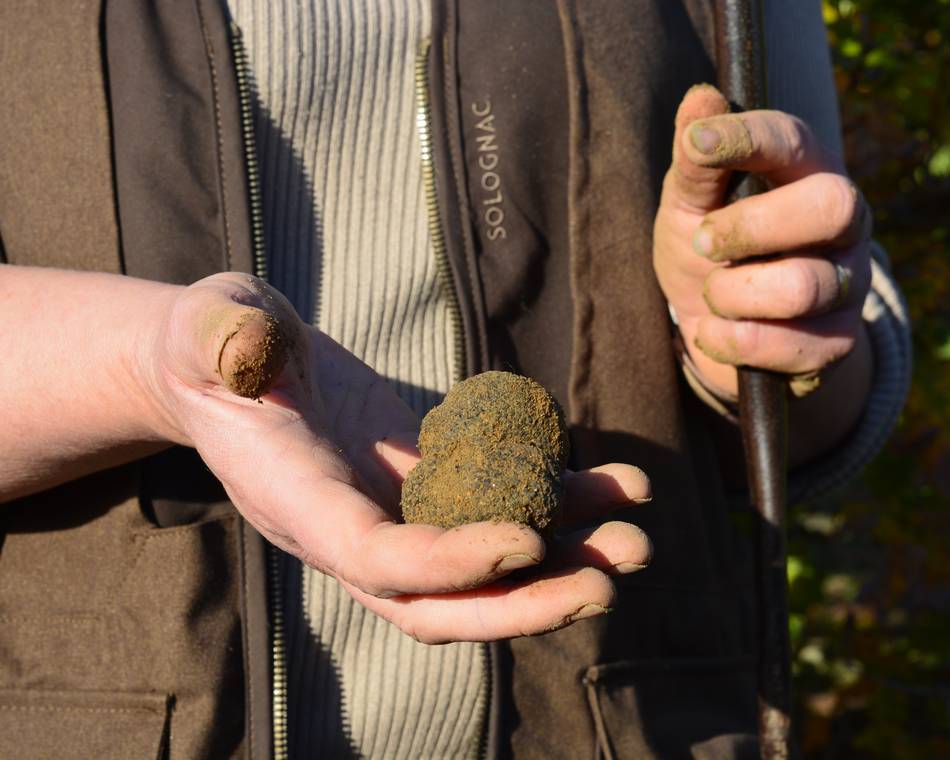 Séjour truffes en Drôme, week-end gourmand en Ardèche Hermitage.