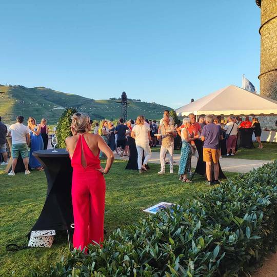 Di'vin Chateau de Tournon