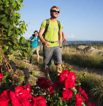 8 hikes around Tain l'Hermitage et Tournon sur Rhône