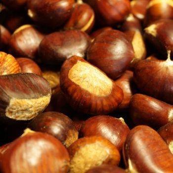 Pour Un Repas De Fete 100 Local