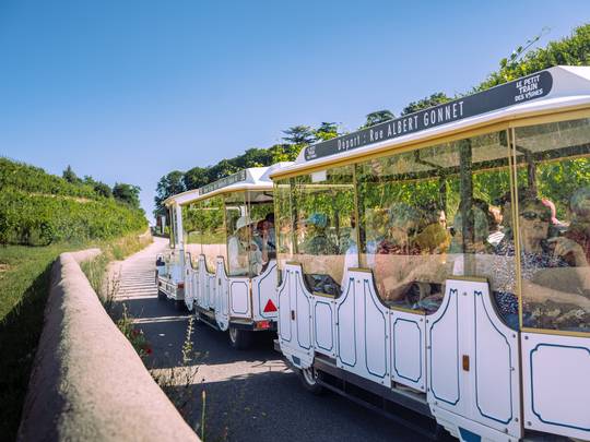 Train des vignes