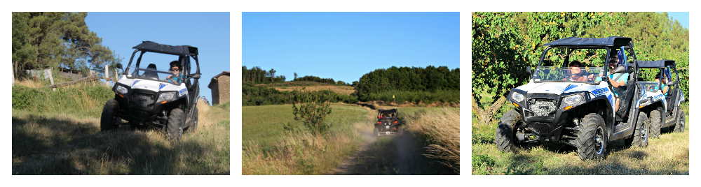 Buggy ride.png