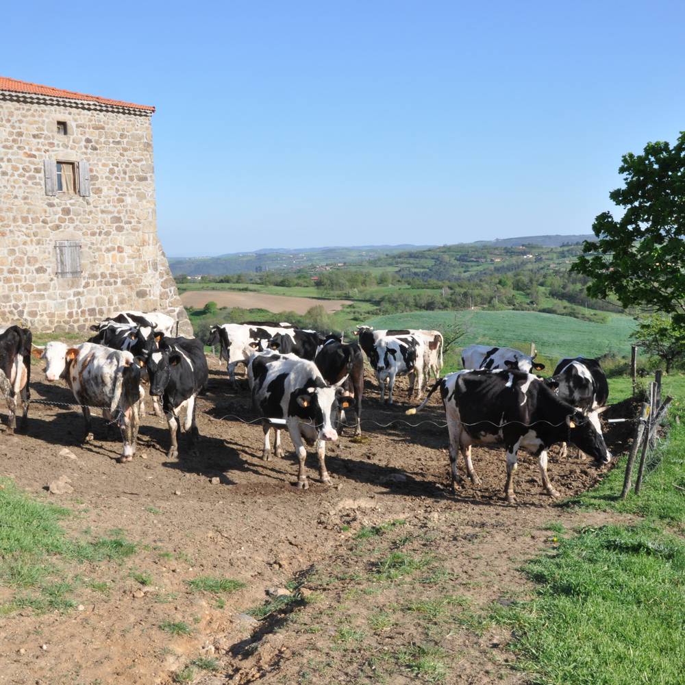 Ferme de Réat
