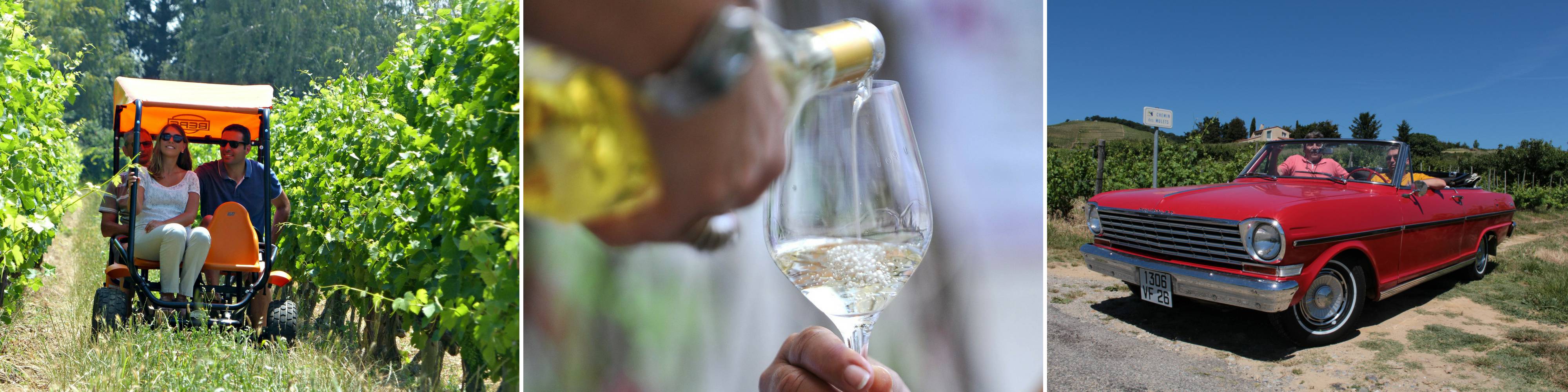 Visiter les Vignobles de Crozes Hermitage
