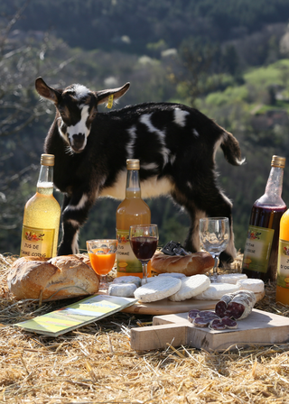 © S. Bridot Produits du terroir made in Ardèche Hermitage