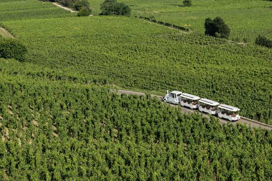  Little train of the vineyards of the Hermitage