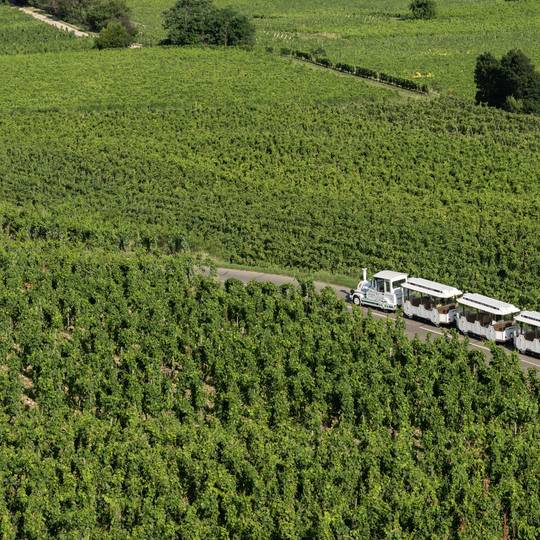 Petit train des vignes de l'Hermitage