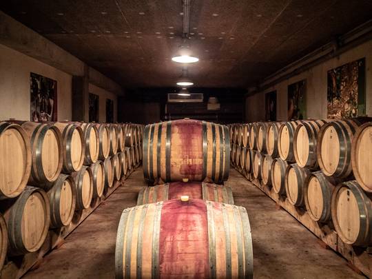 A la rencontre des vignerons de la Vallée du Rhône