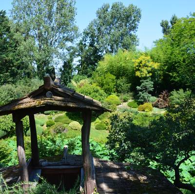 Jardin Zen d'Erik Borja