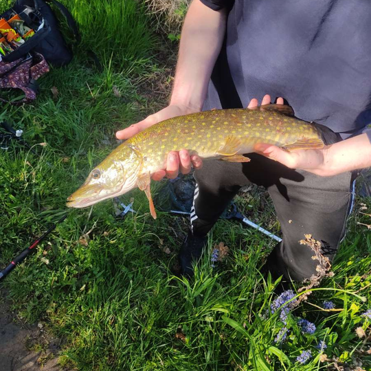 Brochet lac des mienettes