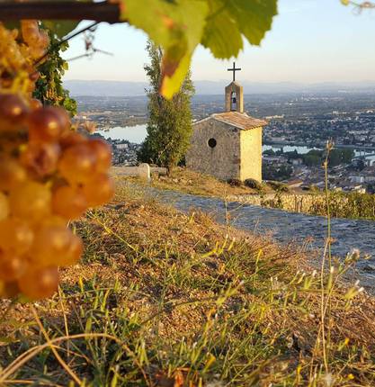 Fascinant Week-end Vignobles & Découvertes