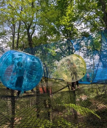 La Forêt des Champos : Une Aventure Naturelle pour Toute la Famille