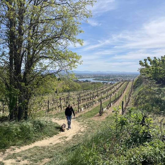 Randonnée sur la Colline de l'Hermitage