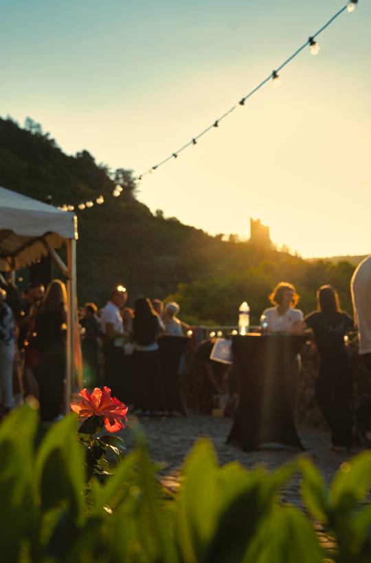 di'vin au chateau 