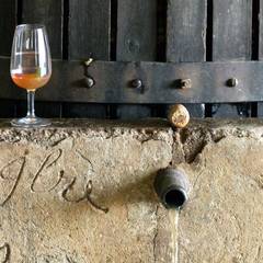 Visite de Cave vignobles en scène