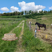 chasse au trésor
