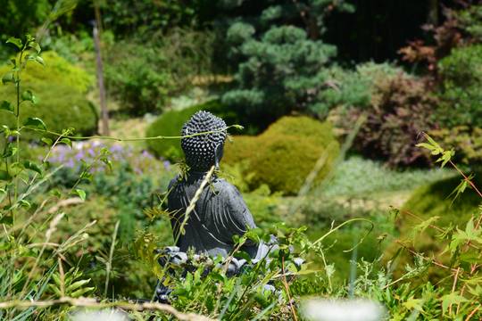 Jardin Zen d'Erik Borja