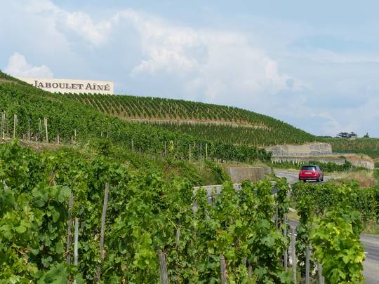 Route des vins Côtes du Rhône