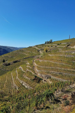 les coteaux de l'Hermitage