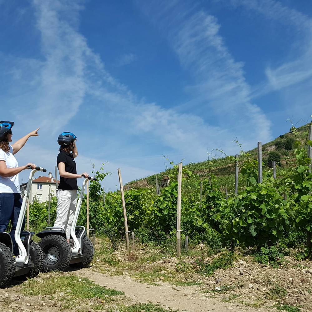 Gyropode dans les vignes