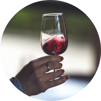 Raphael K. Dégustation de vin
