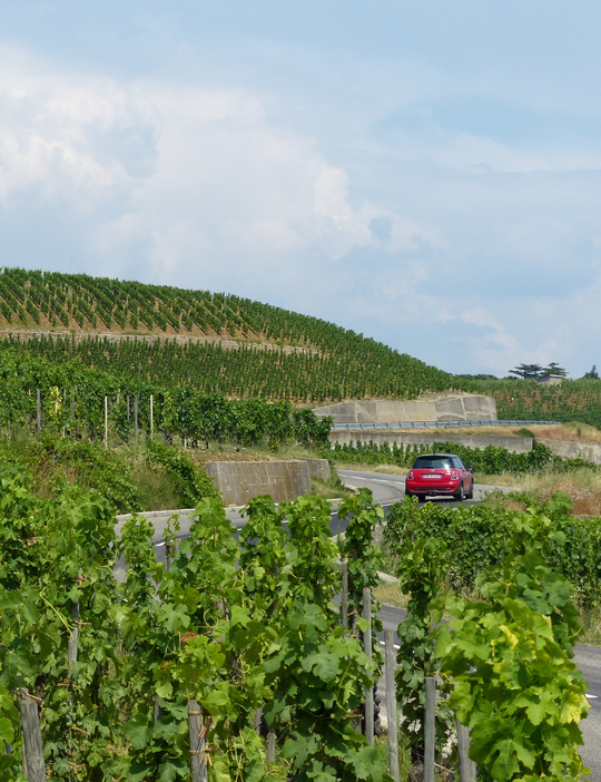 Route des vins Côtes du Rhône