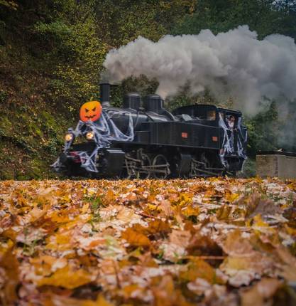 image-un-voyage-au-rythme-de-la-vapeur-train-de-lardeche
