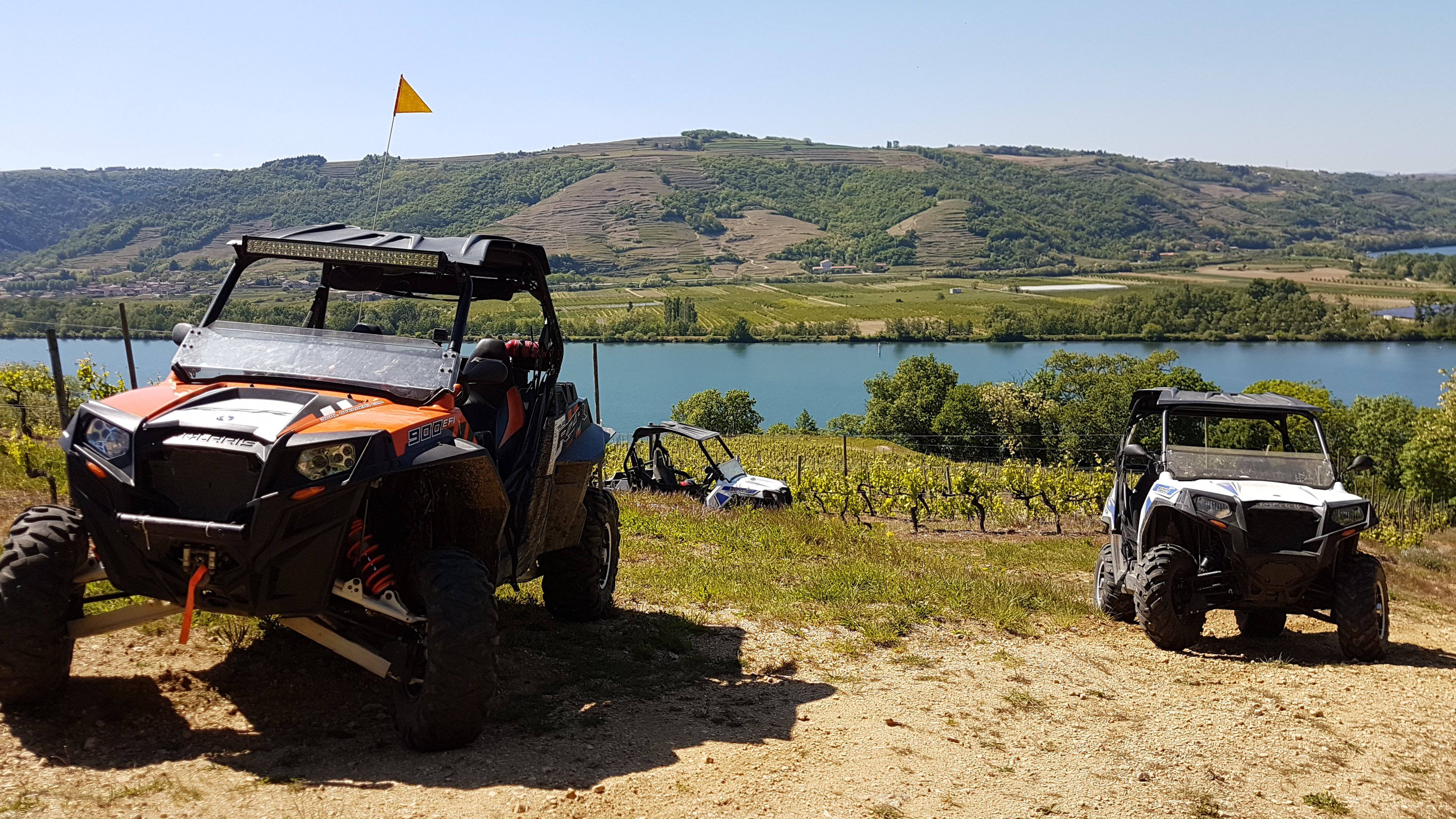 Buggy in den Weinbergen