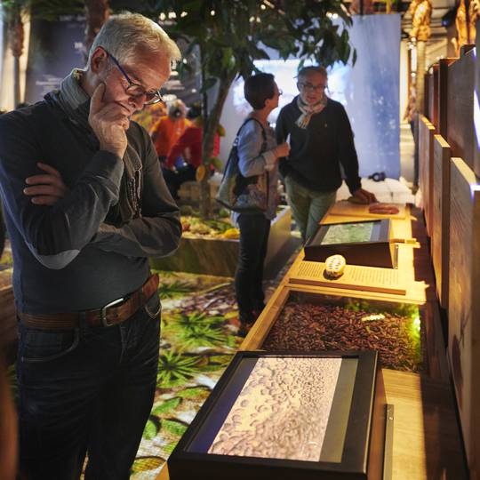 Parcours intéractif de la Cité du Chocolat Valrhona