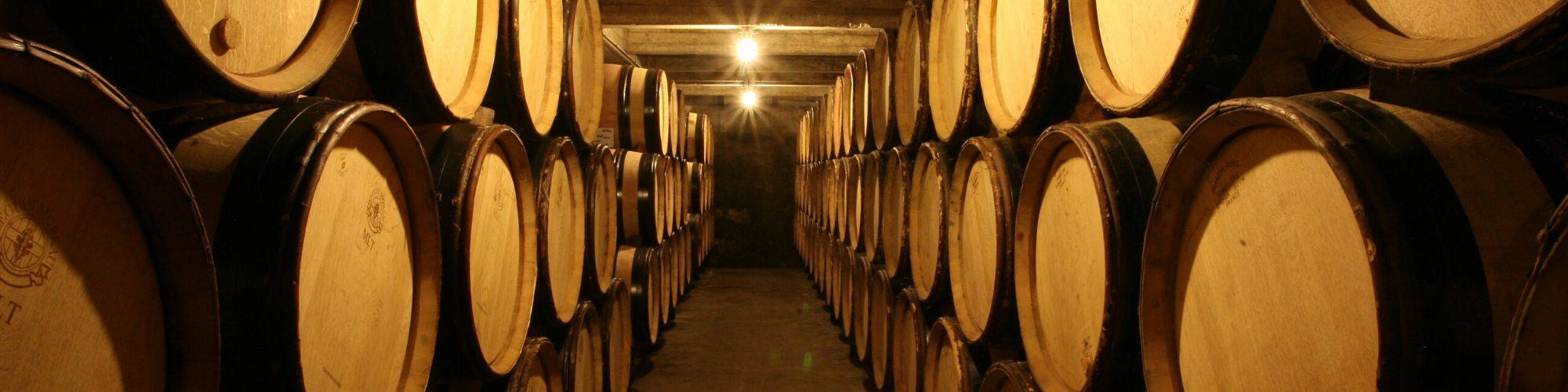 Visite de Chai de la Cave de Tain