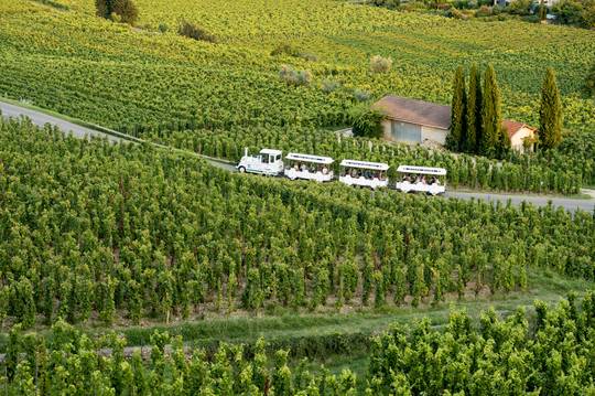 Train des vignes