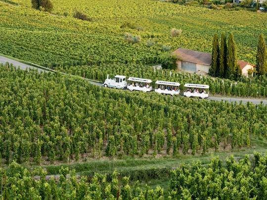 Train des vignes