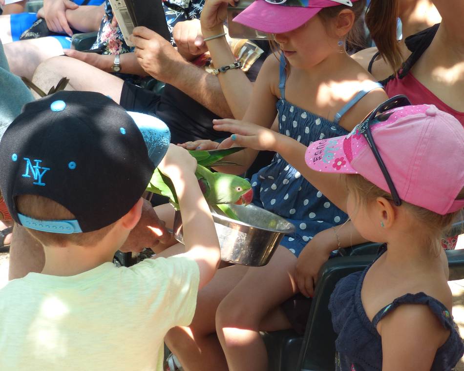 Les activités pour les tout-petits autour de Tournon sur Rhône et Tain l’Hermitage