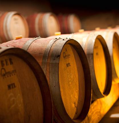 Nos Vignerons