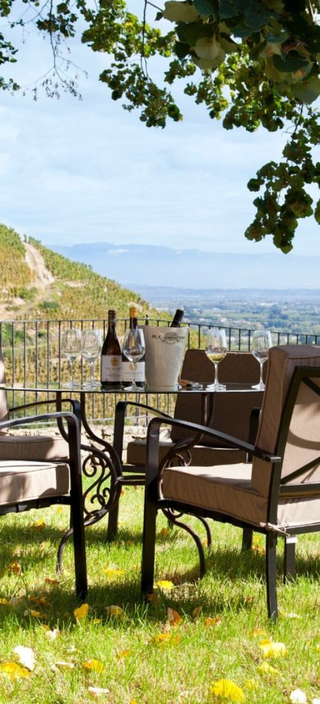 Gîte dans les vignes Maison Chapoutier