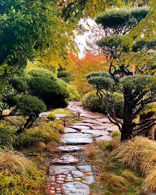 Jardin Zen en automne