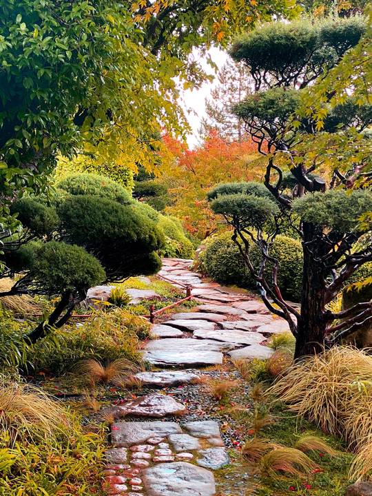 Jardin Zen en automne