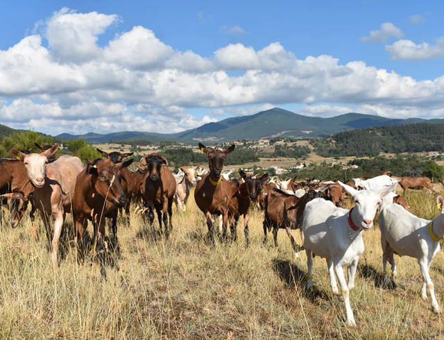 Rencontres des producteurs du pays de Saint Félicien en Ardèche.