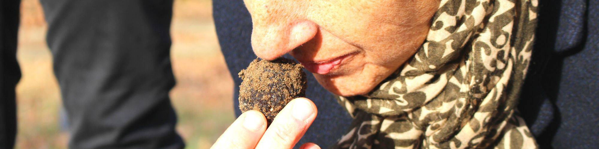 Truffe noire de la Drôme des Collines